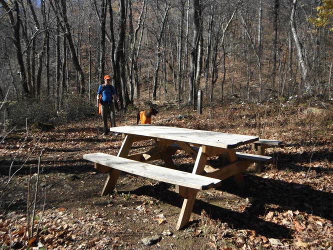 Picture 19 of Patricia Ann Byrom Forest Preserve 111114