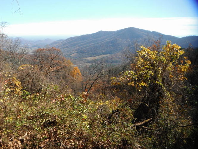 Default image for Patricia Ann Byrom Forest Preserve Hike, a 4.3-mile trail in Crozet, VA (US)