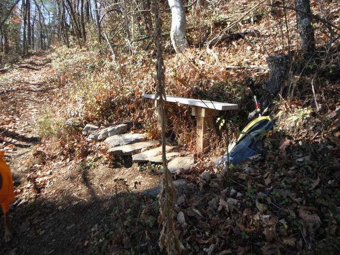 Picture 23 of Patricia Ann Byrom Forest Preserve 111114