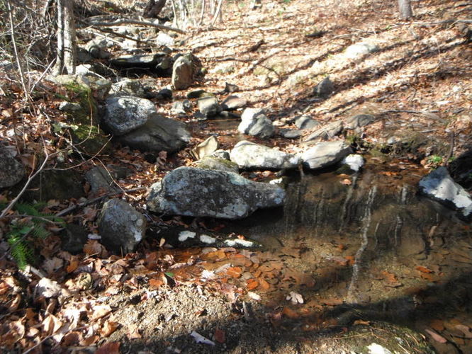 Picture 29 of Patricia Ann Byrom Forest Preserve 111114