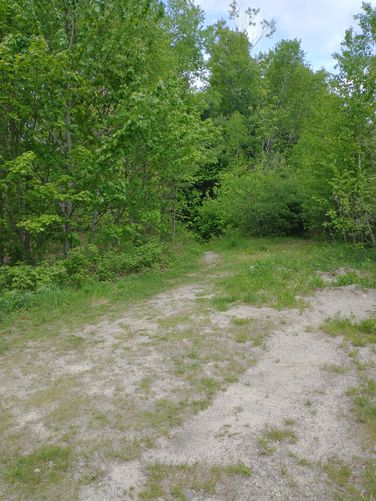 Entrance to the trail