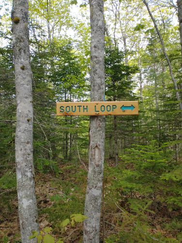 Excellent signage at trail junctions