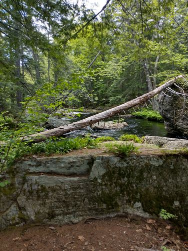 Lots of interesting rocks along the stream