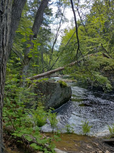 Beautiful view of Patten Stream 