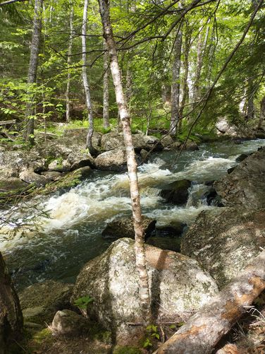 Swift running water in Patten Stream 
