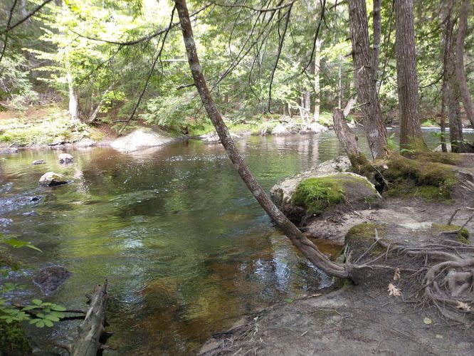 Lots of access to Patten Stream 