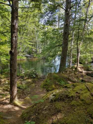 Beautiful view of Patten Stream 