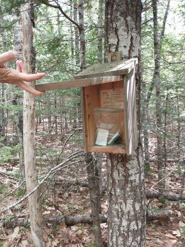 A letterbox that's easy to find 