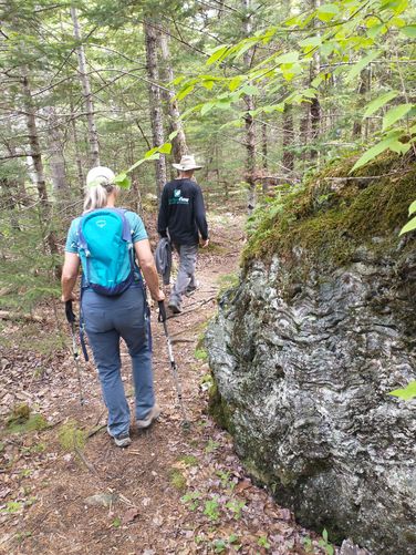 Interesting erratic rocks along the trails 