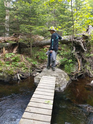 Another boardwalk to help hikers stay dry over wet areas