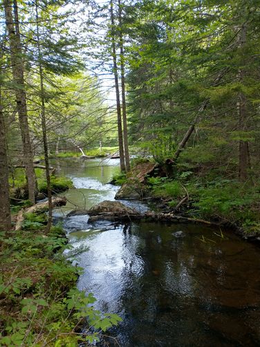 Beautiful view of Patten Stream 