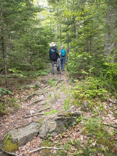 Watch your step, the trail has trip hazards