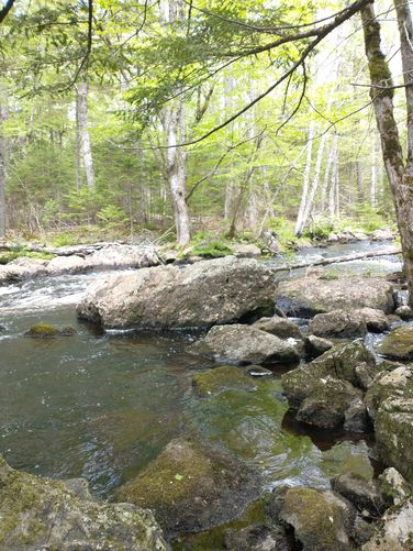 Another fun spot to stop and maybe take a dip on a hot summer day?