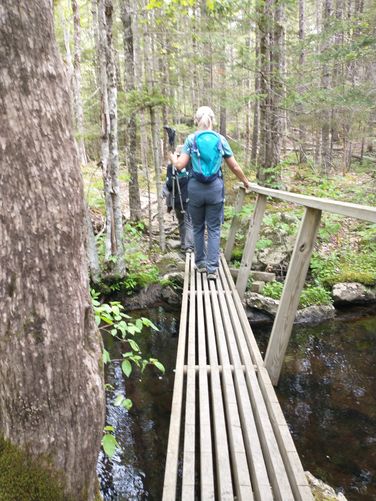 Sturdy bridges help hikers over wet areas