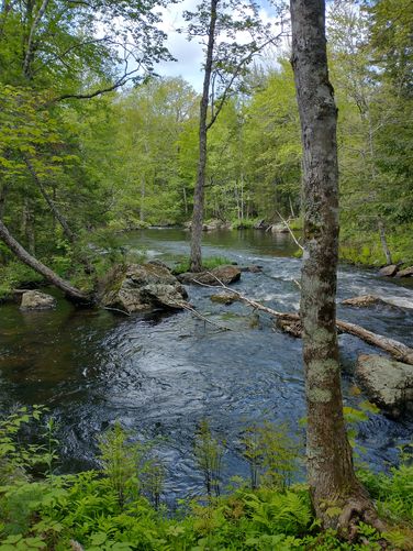 So many beautiful views along the trails 