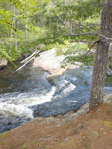 Rushing waters of Patten Stream rn 
