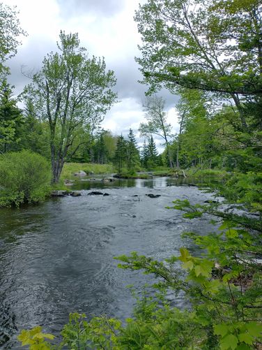 Default image for Patten Stream Preserve Hike, a 1.5-mile trail in Surry, ME (US)