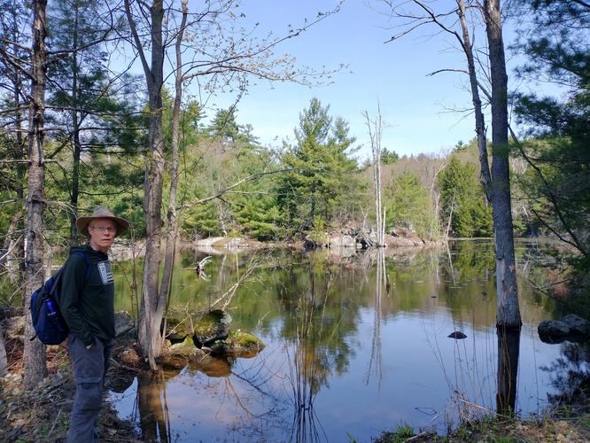 Small body of water along trail