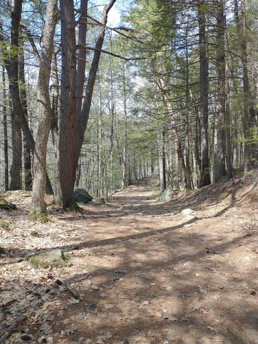 Trail substrate 