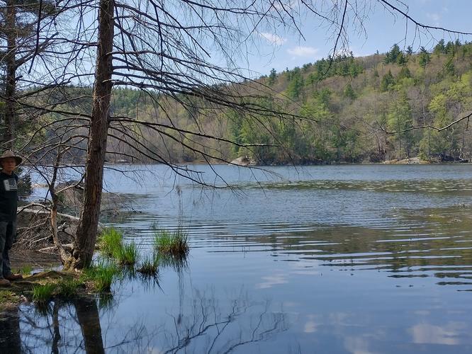 View of pond from Round Pond Road 