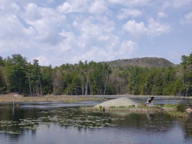 Default image for North Mountain & Devil's Den Loop, a 7.0-mile trail in Nottingham, New Hampshire (US)