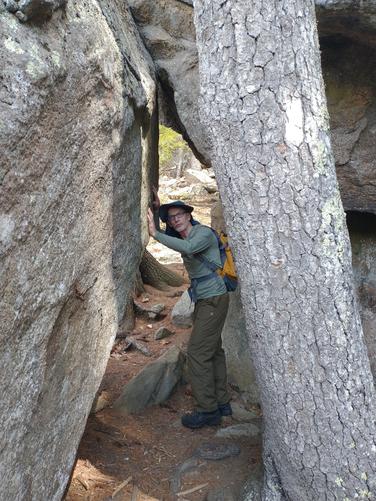 Interesting features along the trail