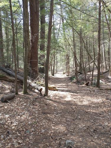 Trail substrate 