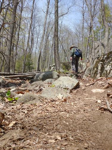 Trail substrate at a slow steady ascent