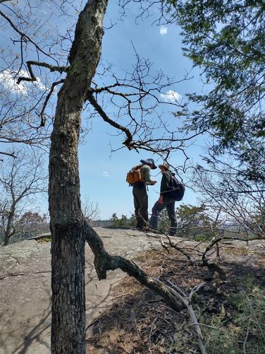 Hoping to catch a view from the trail
