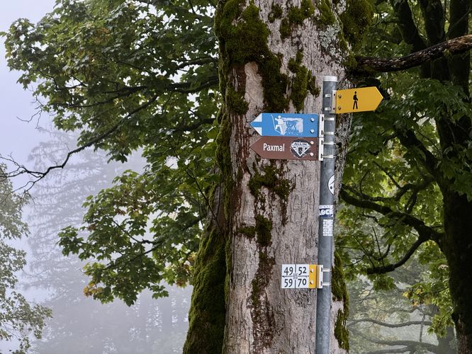 Follow signs for the Paxmal