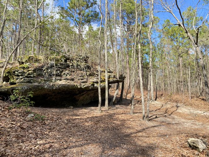 Rock ledges