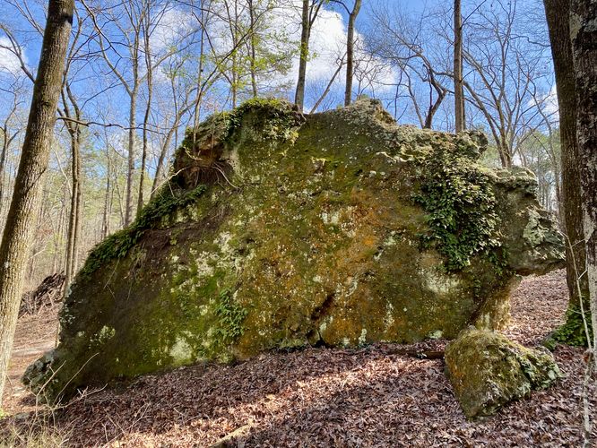 Peachtree Rock (fallen, top side view)