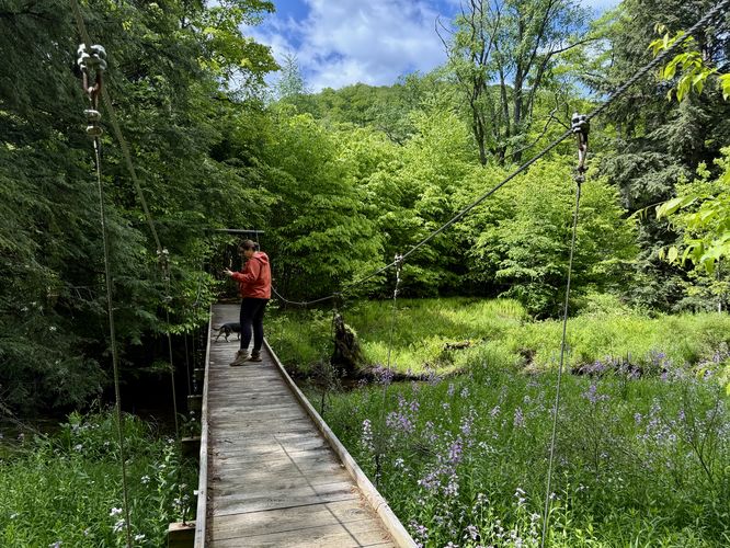 Suspension bridge crosses Lyman Run