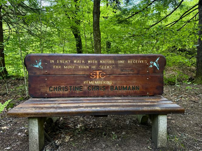 Bench in memorial of Christine "Chris" Baumann