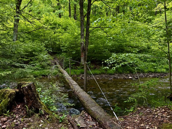Skinny footbridge