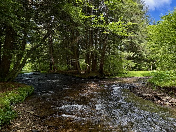 View of Lyman Run (filterable water)