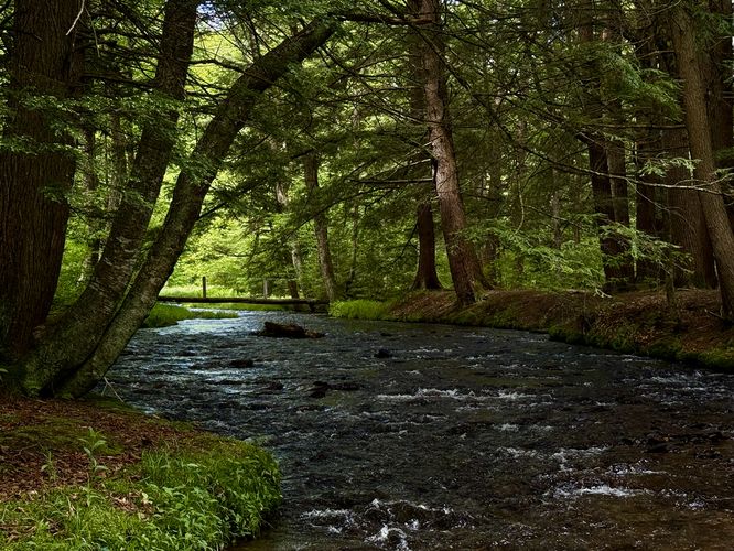 Scenic view of Lyman Run creek