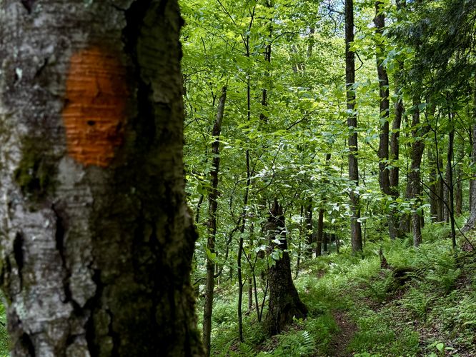 Orange blaze of the STS