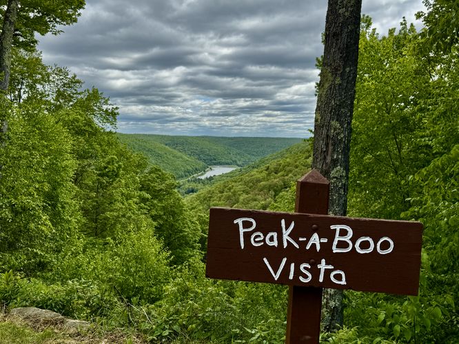 Peak-A-Boo Vista Hike via STS - Peak A Boo Vista Hike via STS album