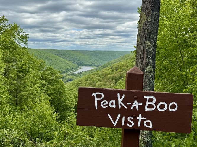 Picture 13 of Peak A Boo Vista Hike via STS