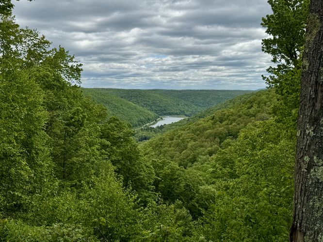 View of Lyman Run Lake from Peak-A-Boo Vista