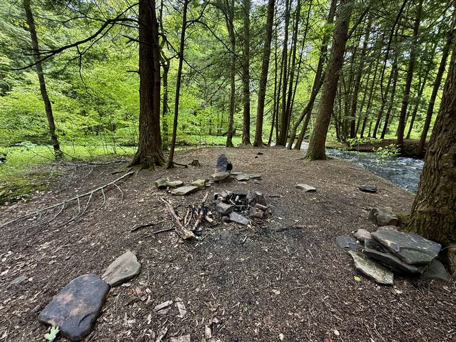 Creekside campsite