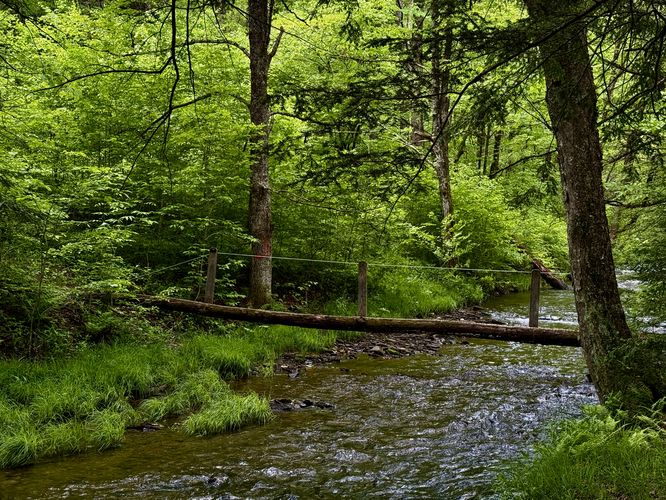 Scenic view of Lyman Run with the STS footbridge