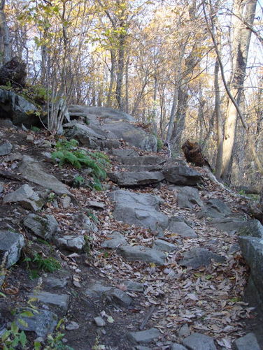 Picture 6 of Peaks of Otter Hike 110108