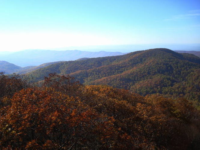 Default image for Peaks of Otter Hike, a 11.7-mile trail in Bedford, VA (US)