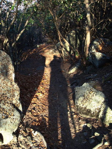Picture 25 of Peaks of Otter Hike 110108