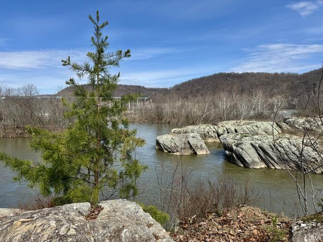 Peavine Island Hike - Peavine Island Hike album