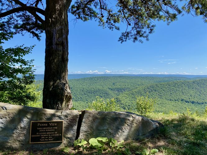 Penns View plaque