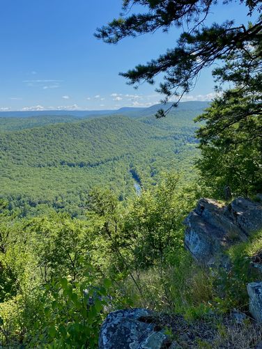 Rock ledges at Penns View