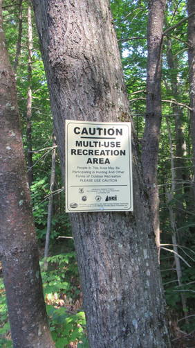 Use caution during hunting season as this is a Multiuse Forest
